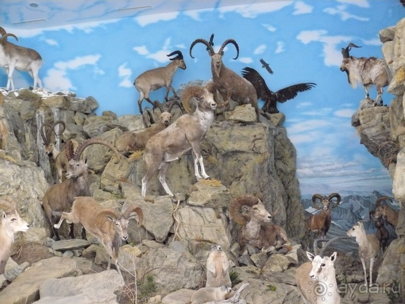 Кестхей. Это Венгрия!  Замок-дворец №1 в Венгрии.