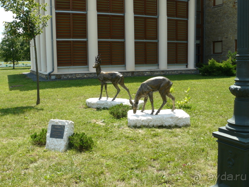 Кестхей. Это Венгрия!  Замок-дворец №1 в Венгрии.