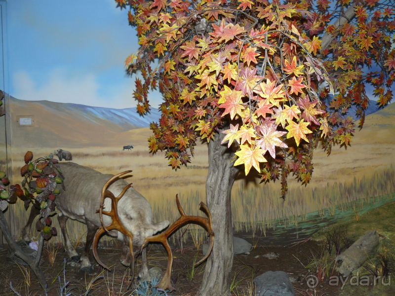 Кестхей. Это Венгрия!  Замок-дворец №1 в Венгрии.