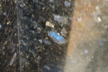 Санкт-Петербург, Россия. Храм Спаса на Крови.