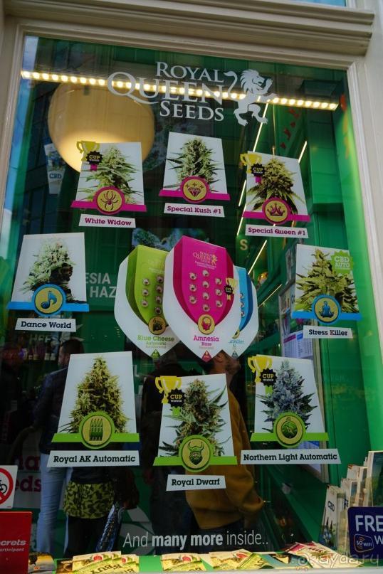 Амстердам, Нидерланды. «Гулять, так гулять!». Утомленные каналами, день II.