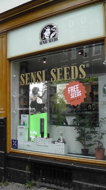 Амстердам, Нидерланды. «Гулять, так гулять!». Утомленные каналами, день II.