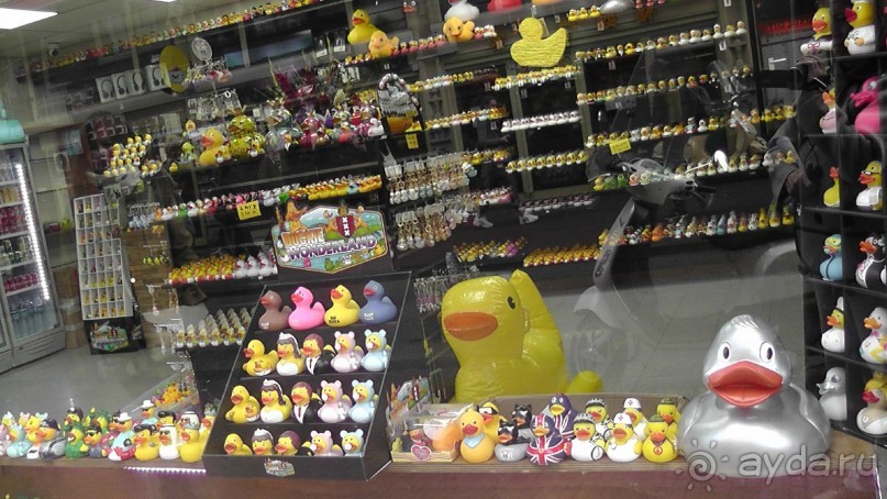 Амстердам, Нидерланды. «Гулять, так гулять!». Утомленные каналами, день II.