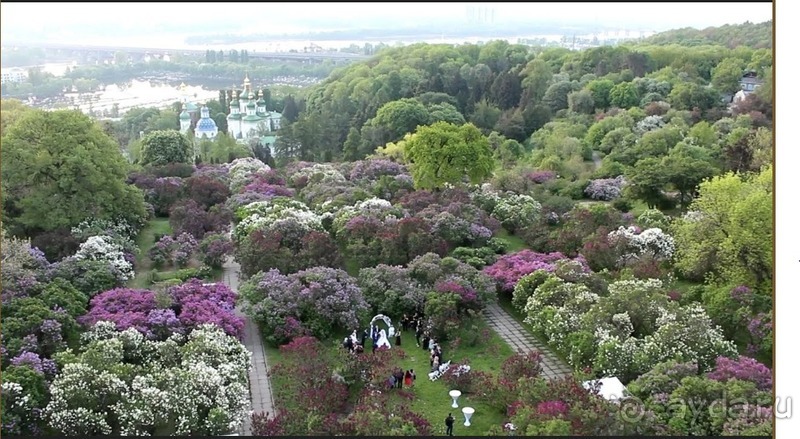 Ботанический сад, Киев. Весна-лето, осень-зима, а в середине Вечность! Весна.