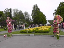 Ботанический сад, Киев. Весна-лето, осень-зима, а в середине Вечность! Весна.