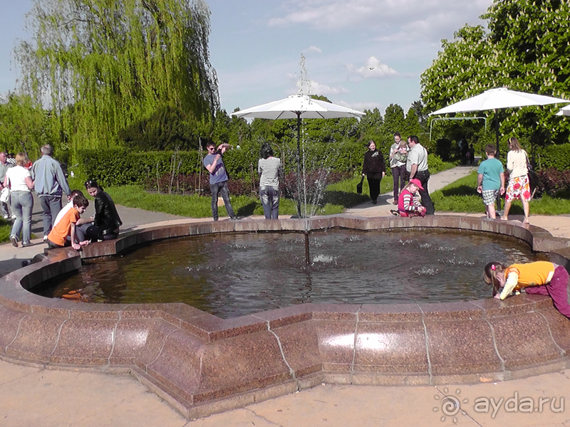 Ботанический сад, Киев. Весна-лето, осень-зима, а в середине Вечность! Весна.