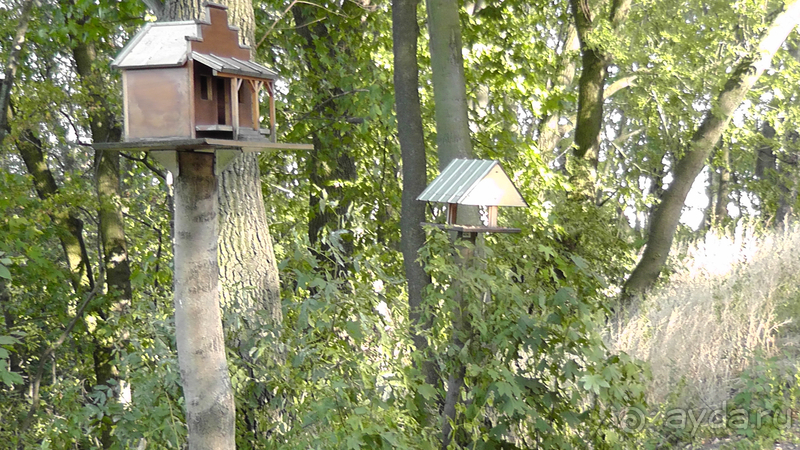 Ботанический сад, Киев. Весна-лето, осень-зима, а в середине Вечность! Весна.
