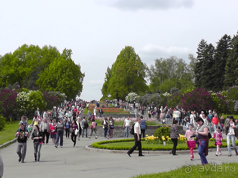 Ботанический сад, Киев. Весна-лето, осень-зима, а в середине Вечность! Весна.