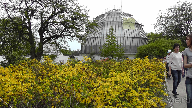 Ботанический сад, Киев. Весна-лето, осень-зима, а в середине Вечность! Весна.