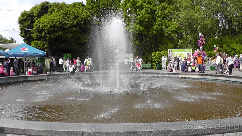 Ботанический сад, Киев. Весна-лето, осень-зима, а в середине Вечность! Весна.