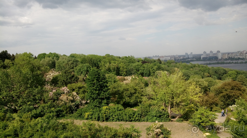 Ботанический сад, Киев. Весна-лето, осень-зима, а в середине Вечность! Весна.