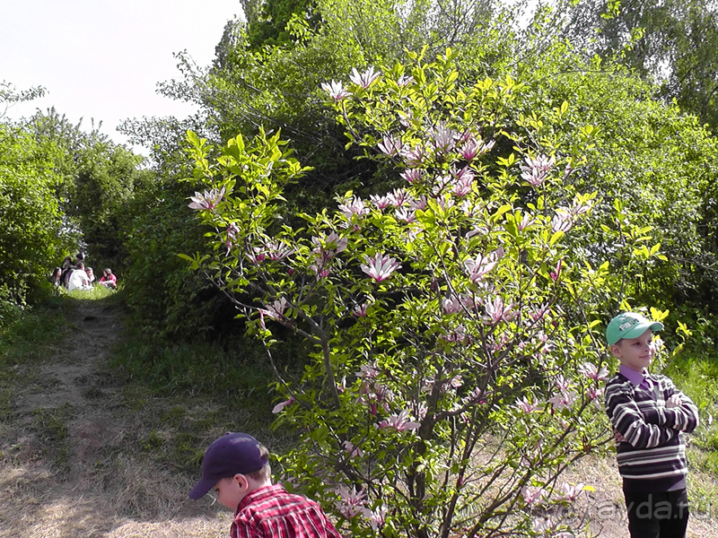 Ботанический сад, Киев. Весна-лето, осень-зима, а в середине Вечность! Весна.