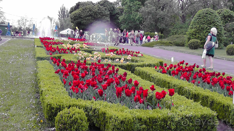 Ботанический сад, Киев. Весна-лето, осень-зима, а в середине Вечность! Весна.