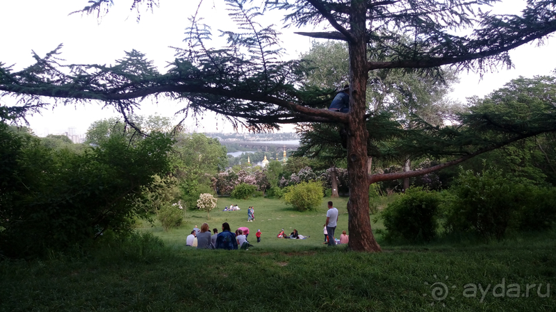 Ботанический сад, Киев. Весна-лето, осень-зима, а в середине Вечность! Весна.