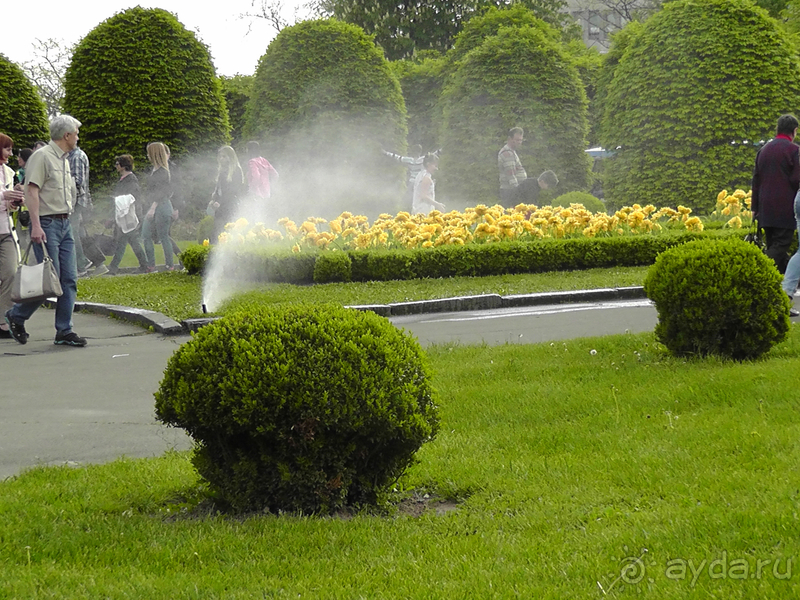 Ботанический сад, Киев. Весна-лето, осень-зима, а в середине Вечность! Весна.