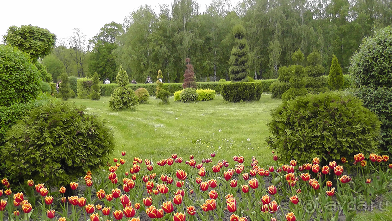 Ботанический сад, Киев. Весна-лето, осень-зима, а в середине Вечность! Весна.