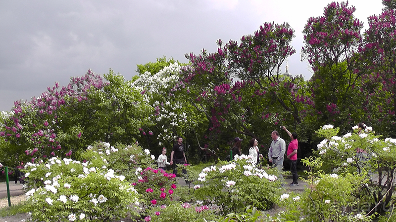 Ботанический сад, Киев. Весна-лето, осень-зима, а в середине Вечность! Весна.