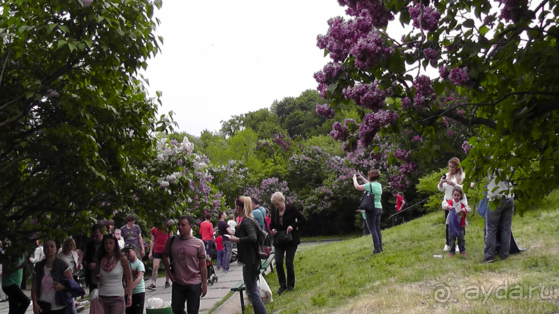 Ботанический сад, Киев. Весна-лето, осень-зима, а в середине Вечность! Весна.