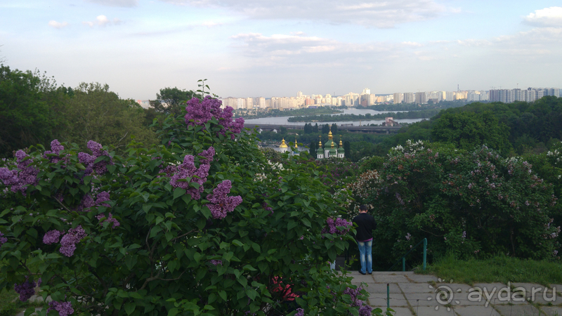 Ботанический сад, Киев. Весна-лето, осень-зима, а в середине Вечность! Весна.