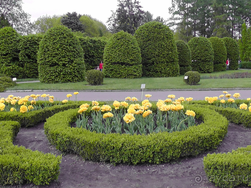 Ботанический сад, Киев. Весна-лето, осень-зима, а в середине Вечность! Весна.