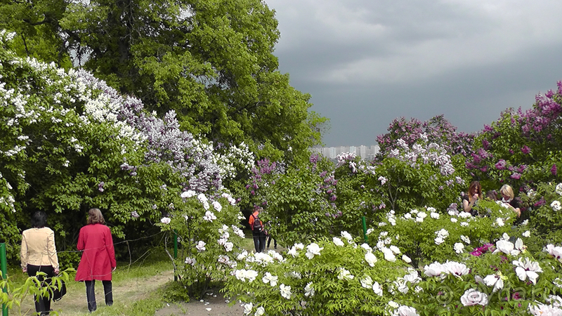 Ботанический сад, Киев. Весна-лето, осень-зима, а в середине Вечность! Весна.