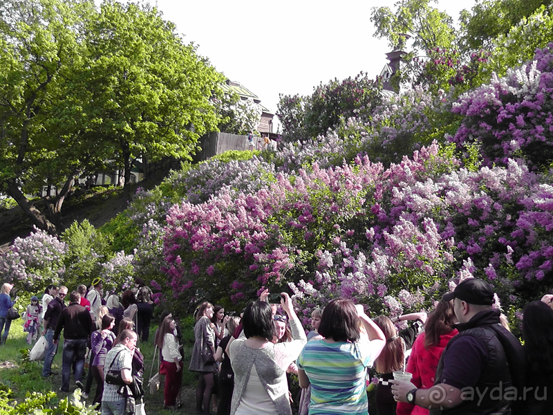 Ботанический сад, Киев. Весна-лето, осень-зима, а в середине Вечность! Весна.