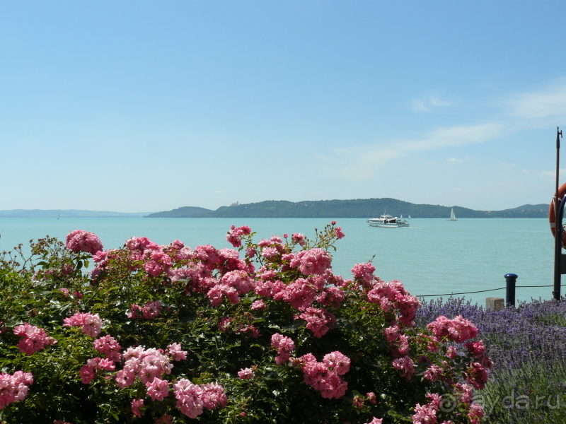 Балатонфюред. Это Венгрия!   Славное море, священный… Балатон.