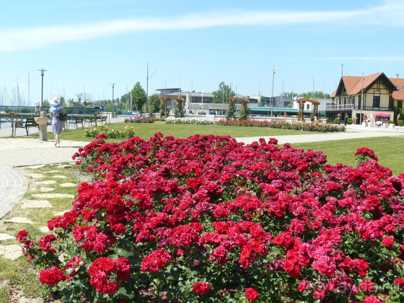 Балатонфюред. Это Венгрия!   Славное море, священный… Балатон.