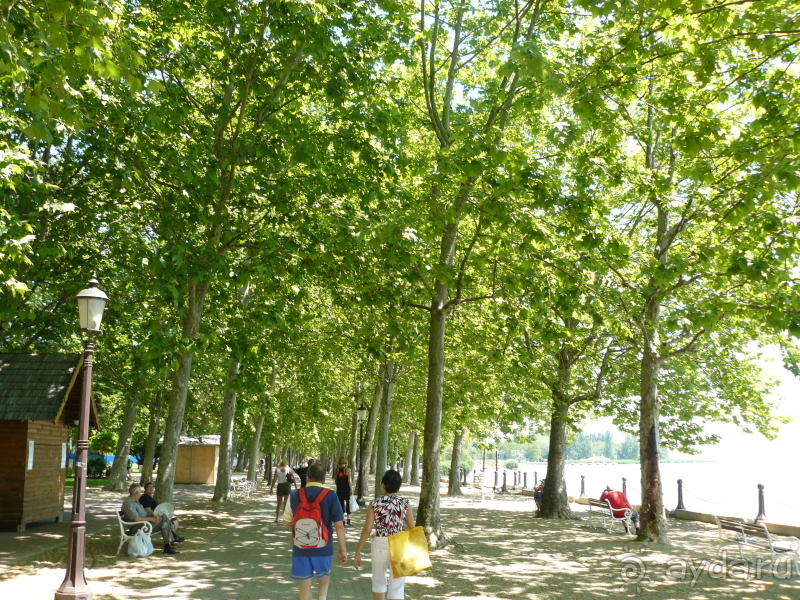 Балатонфюред. Это Венгрия!   Славное море, священный… Балатон.