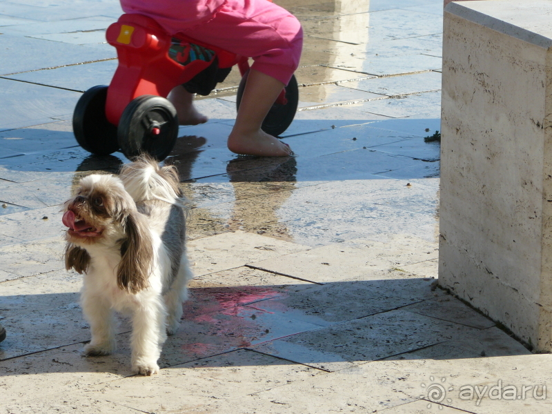Балатонфюред. Это Венгрия!   Славное море, священный… Балатон.