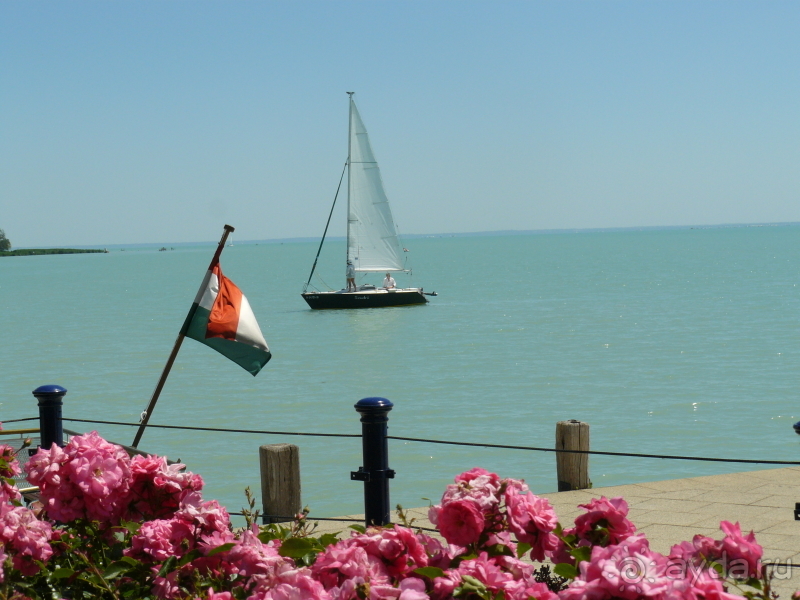 Балатонфюред. Это Венгрия!   Славное море, священный… Балатон.