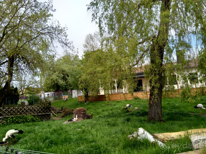 Бавария, Германия. Город Хоф на перекрестке дорог, на перекрестке времен.