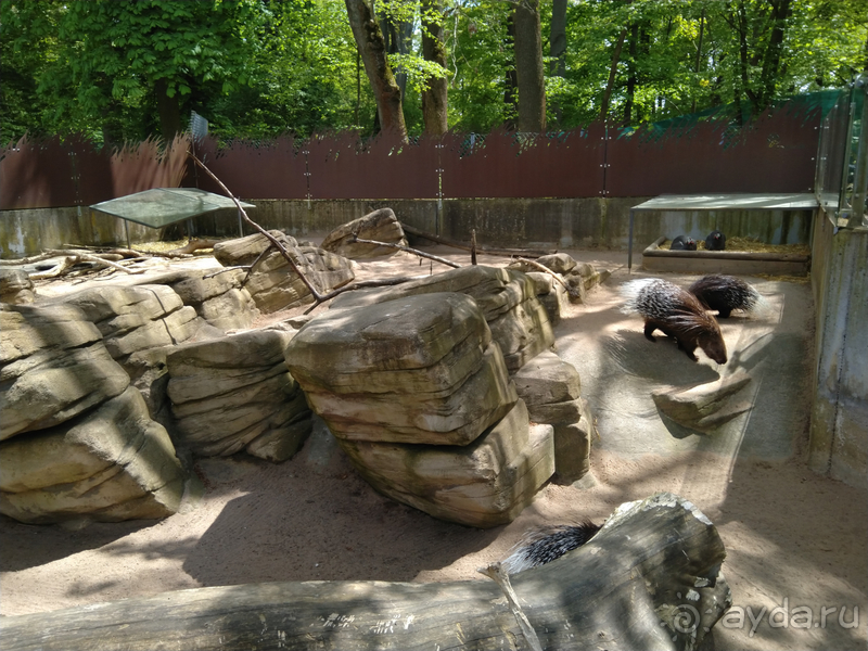 Бавария, Германия. Город Хоф на перекрестке дорог, на перекрестке времен.