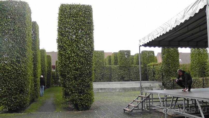 Гент, Бельгия. «Гулять, так гулять!». Город Синей птицы - не центр.