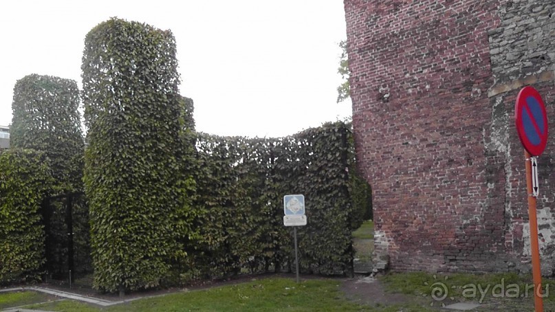 Гент, Бельгия. «Гулять, так гулять!». Город Синей птицы - не центр.