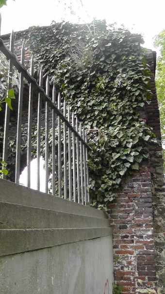 Гент, Бельгия. «Гулять, так гулять!». Город Синей птицы - не центр.