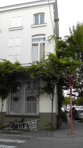 Гент, Бельгия. «Гулять, так гулять!». Город Синей птицы - не центр.