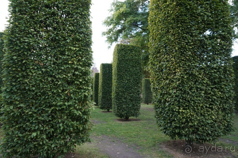 Гент, Бельгия. «Гулять, так гулять!». Город Синей птицы - не центр.