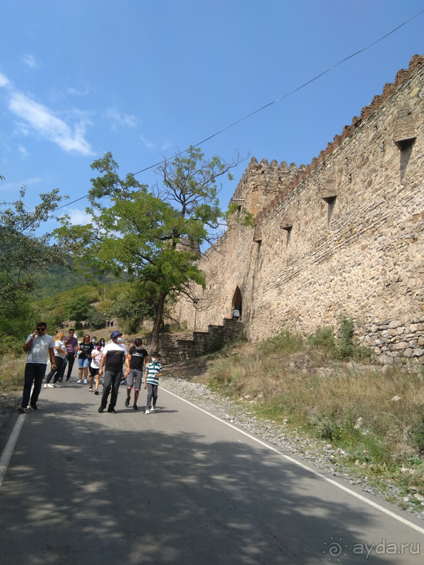 Грузия. Попала в Грузию и я попала… Военно-Грузинская дорога. Маршрут к Казбеку I.