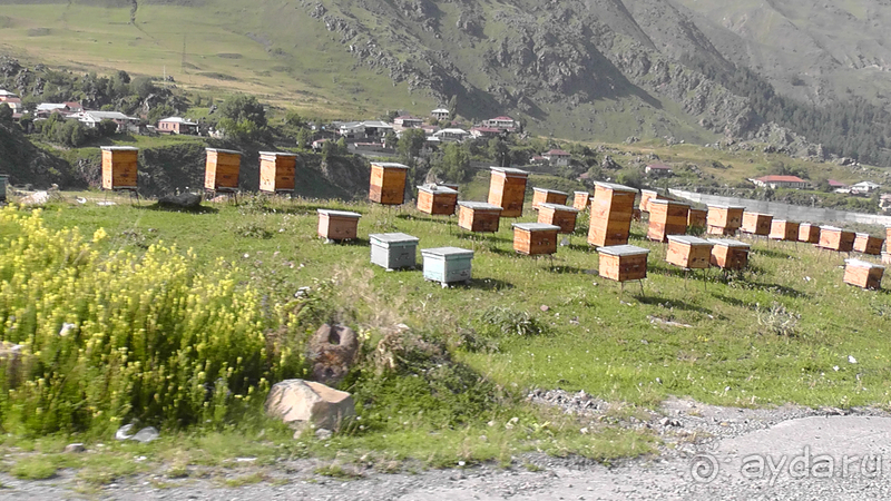 Грузия. Попала в Грузию и я попала… Военно-Грузинская дорога. Маршрут к Казбеку I.