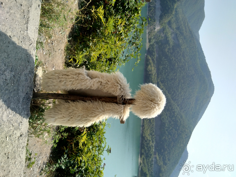Грузия. Попала в Грузию и я попала… Военно-Грузинская дорога. Маршрут к Казбеку I.