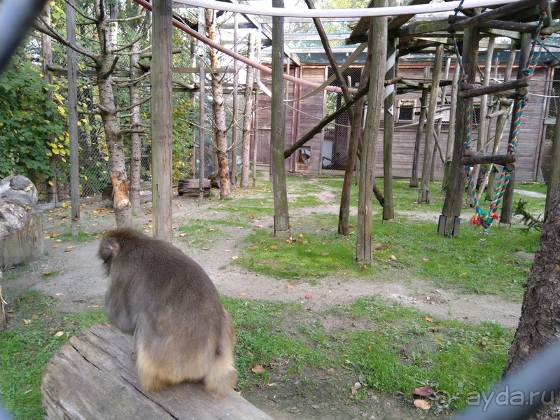 Саксония, Германия. Город Ауэ - между прошлым и будущим.