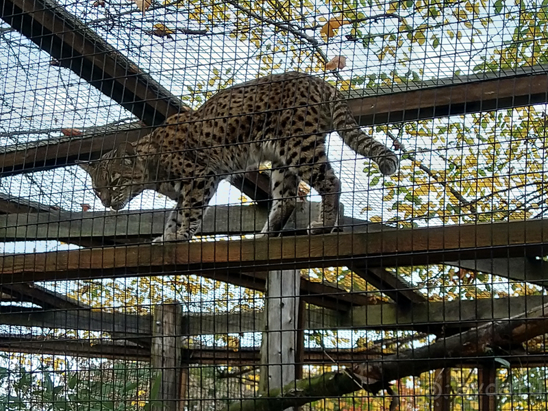 Саксония, Германия. Город Ауэ - между прошлым и будущим.
