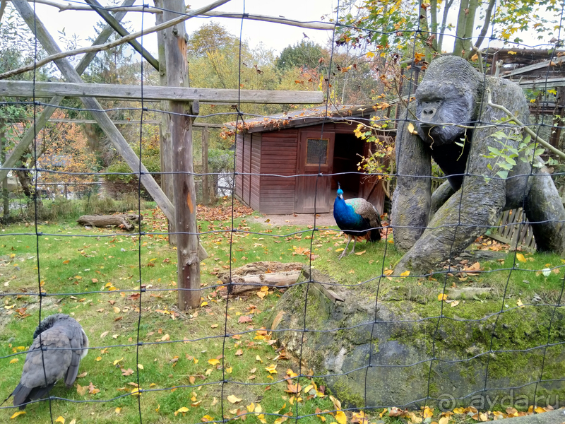 Саксония, Германия. Город Ауэ - между прошлым и будущим.