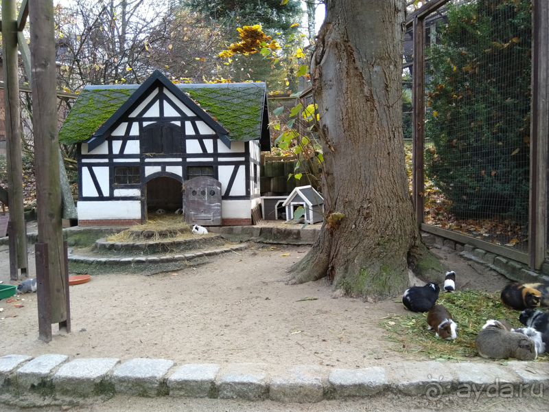 Саксония, Германия. Город Ауэ - между прошлым и будущим.