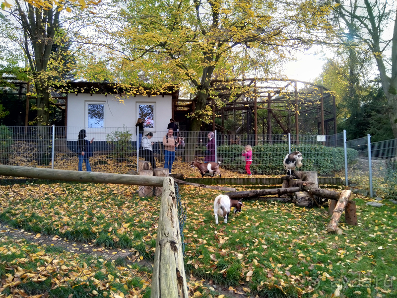 Саксония, Германия. Город Ауэ - между прошлым и будущим.