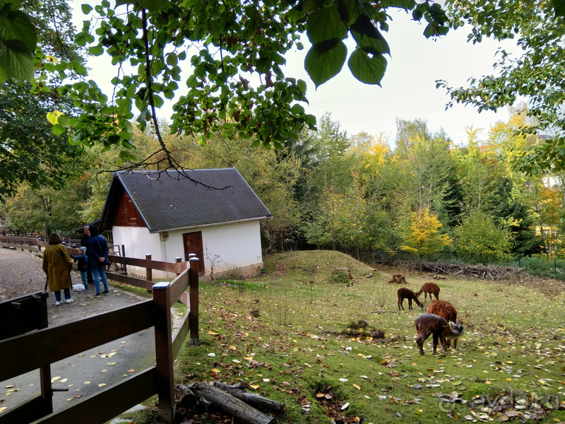 Саксония, Германия. Город Ауэ - между прошлым и будущим.