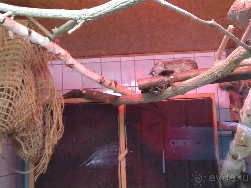 Саксония, Германия. Город Ауэ - между прошлым и будущим.