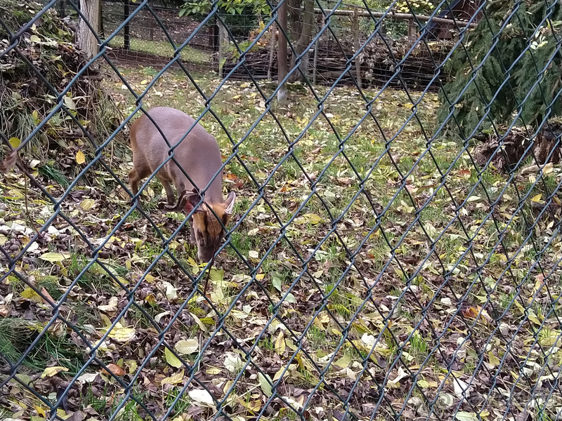 Саксония, Германия. Город Ауэ - между прошлым и будущим.