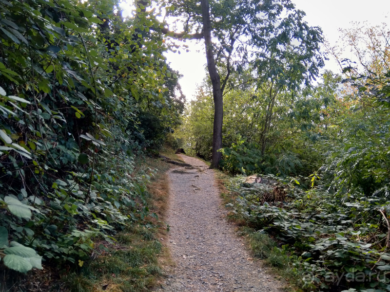 Саксония-Анхальт, Германия. Вернигероде -замок «Мюнхгаузена».
